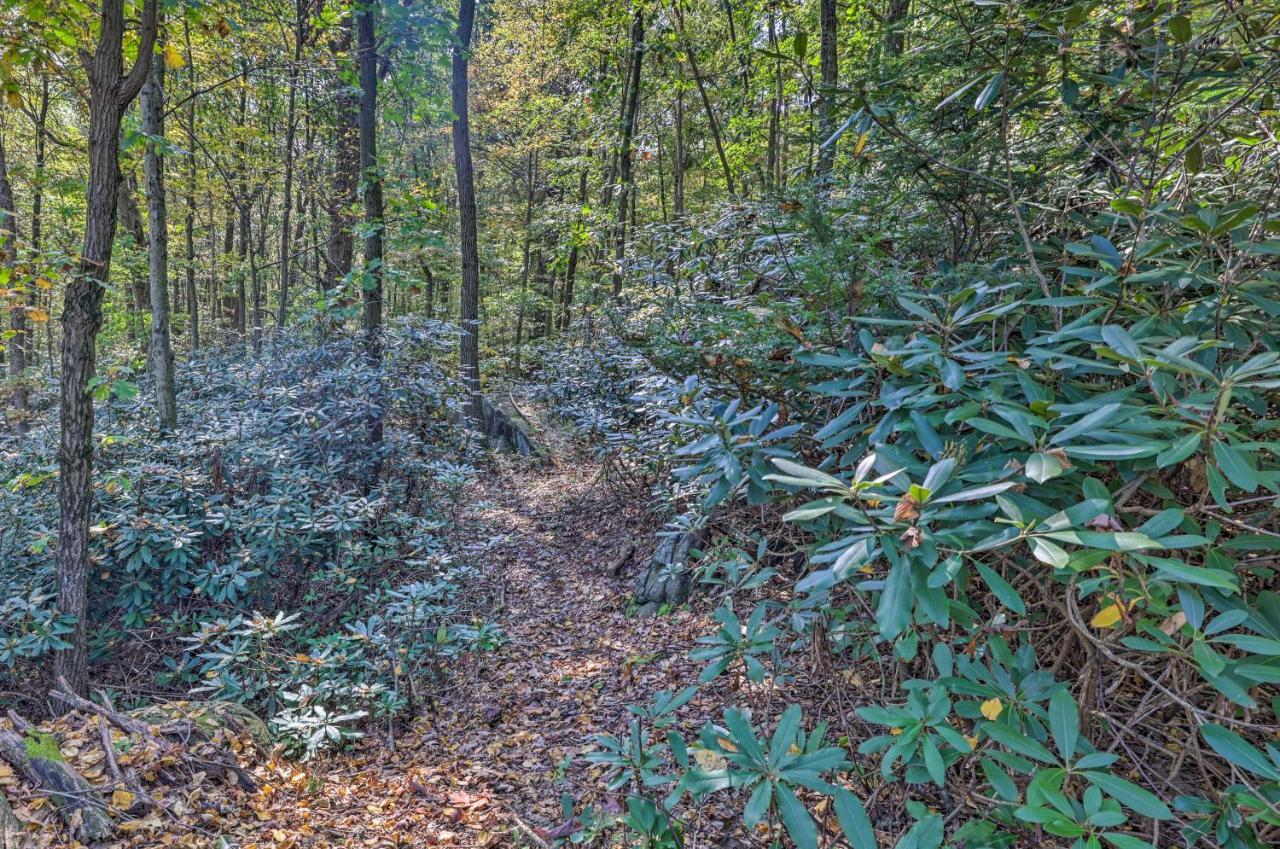 On Shared 10 Acres, On-site Trail Access Holiday home Barnesville