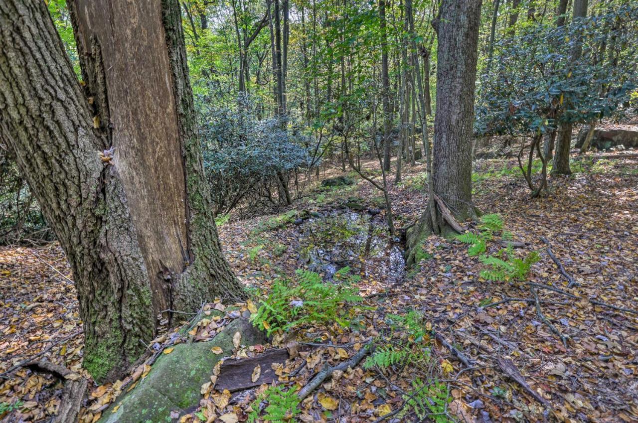 On Shared 10 Acres, On-site Trail Access *