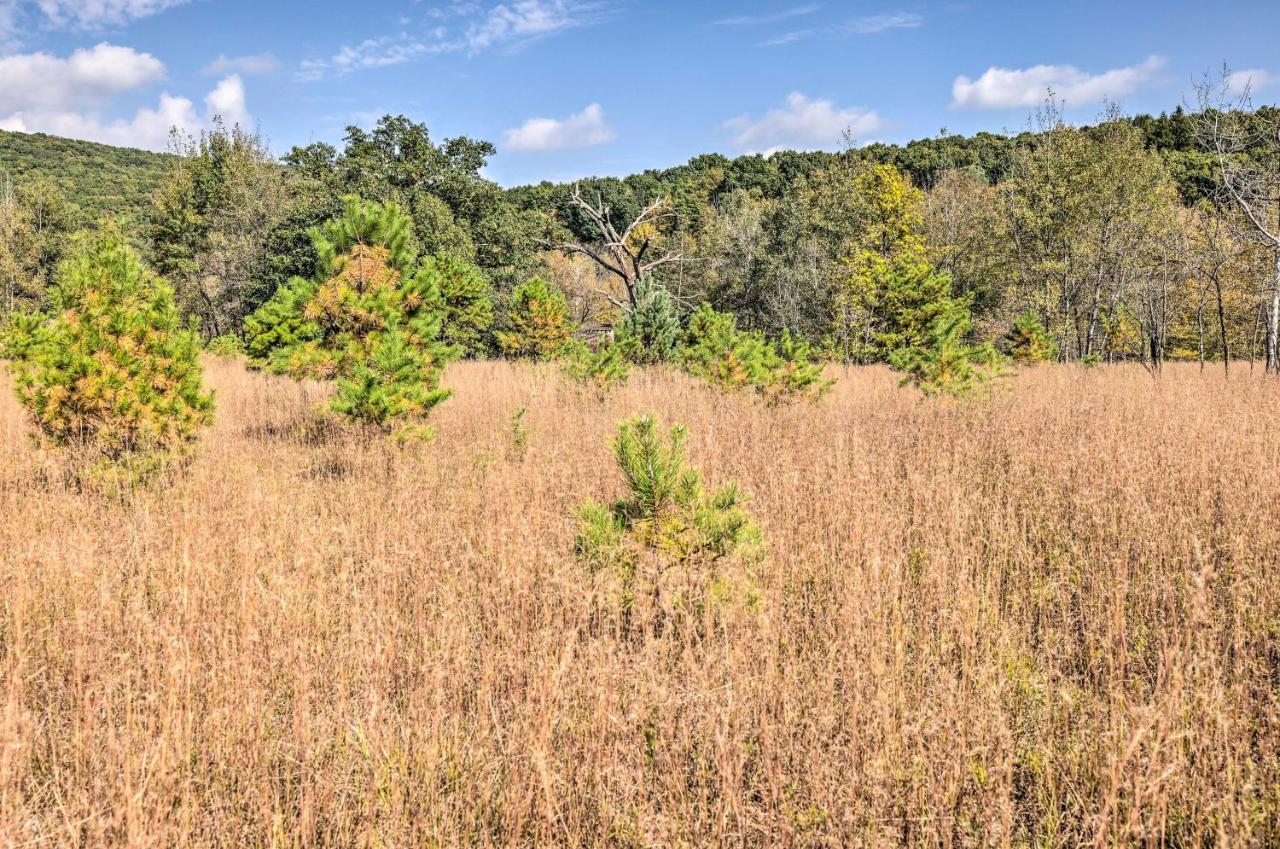 Holiday home On Shared 10 Acres, On-site Trail Access Barnesville