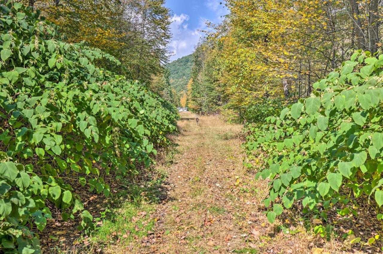 On Shared 10 Acres, On-site Trail Access *
